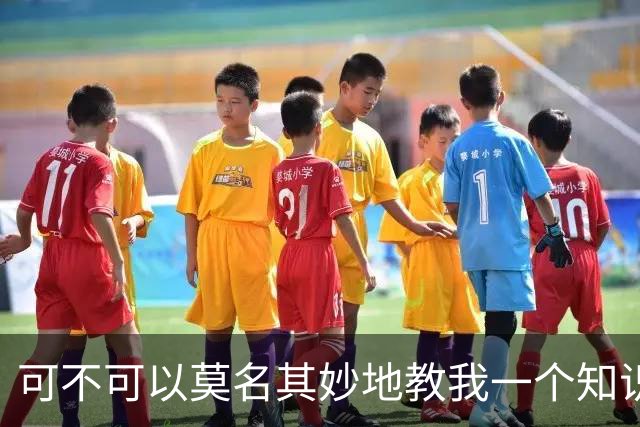 可不可以莫名其妙地教我一个知识? 网友：我的失眠终于有救了